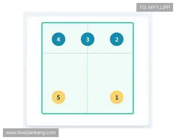 深圳排球队边路渗透战术解析与深度剖析排球竞技魅力